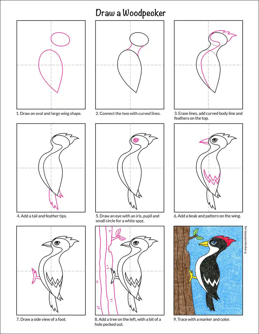 Easy draw a woodpecker tutorial and woodpecker coloring page
