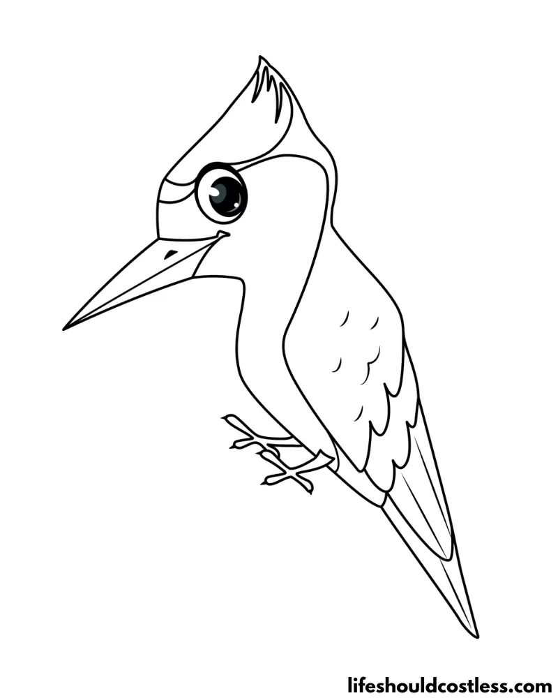 Woodpecker coloring pages free printable pdf templates