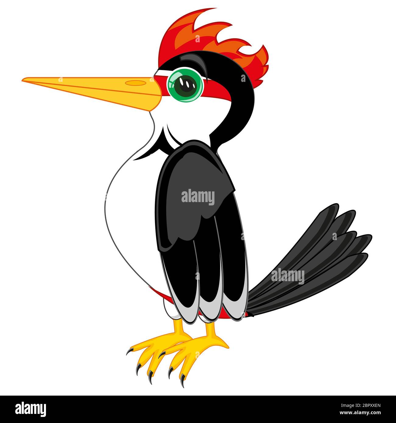 Woodpecker drawing hi