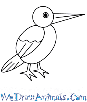 How to draw a simple woodpecker for kids
