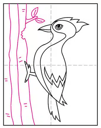 Easy draw a woodpecker tutorial and woodpecker coloring page