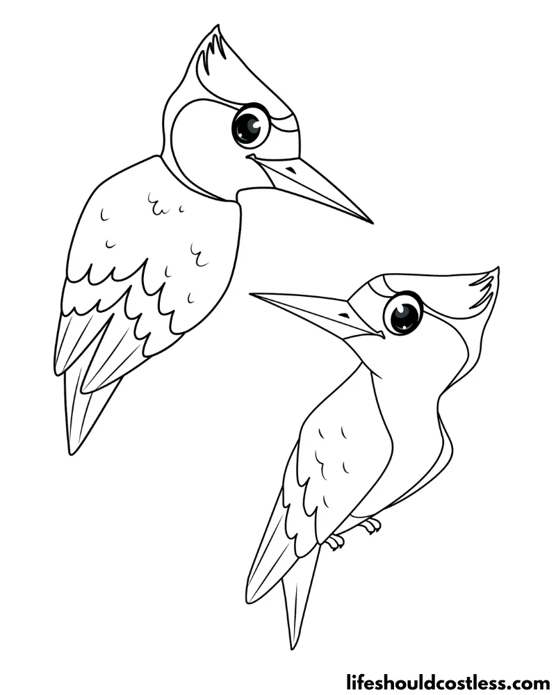 Woodpecker coloring pages free printable pdf templates