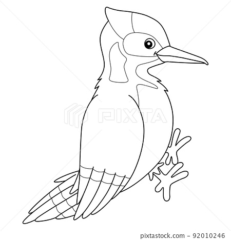 Woodpecker bird animal coloring page for kids