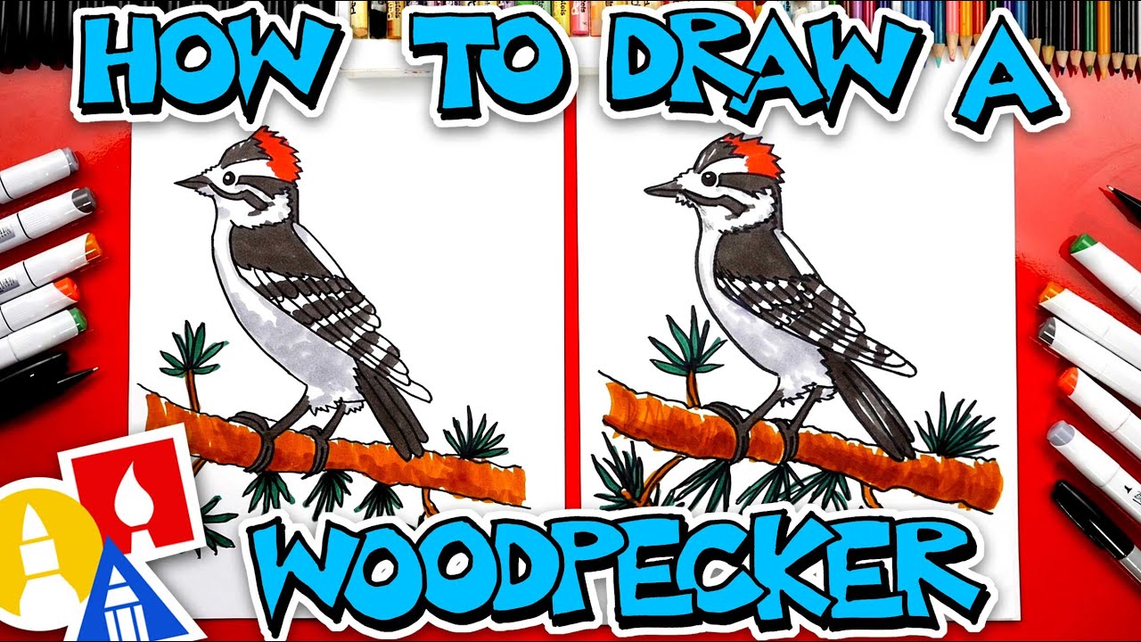 How to draw a woodpecker bird