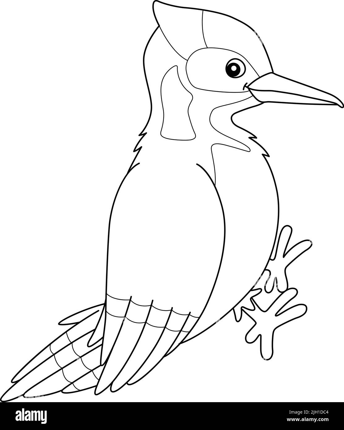 Woodpecker drawing hi