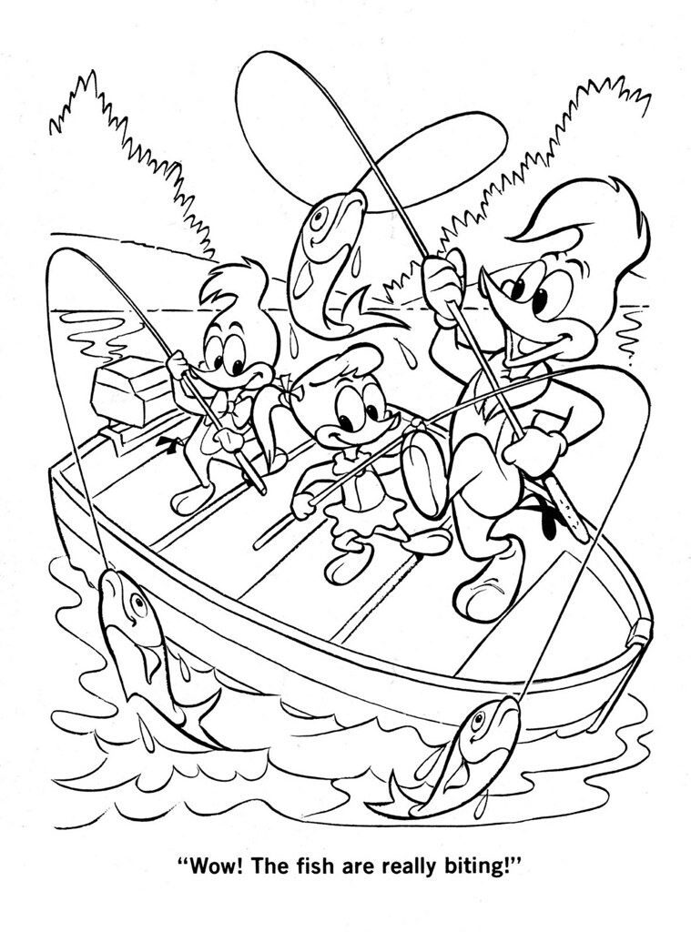 Woody woodpecker coloring book