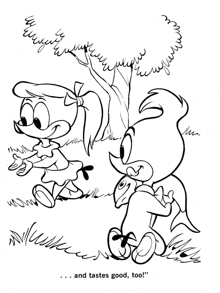 Woody woodpecker coloring book