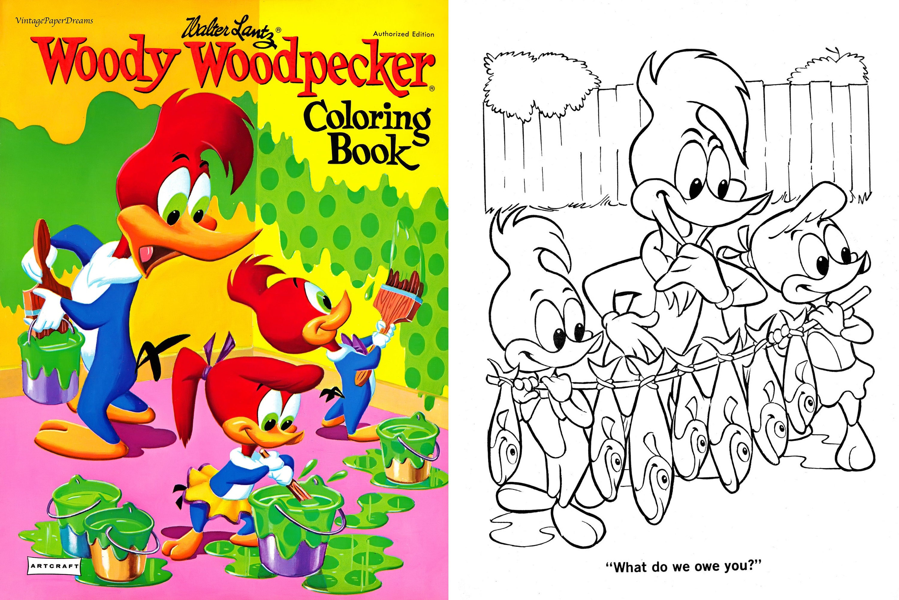 Vintage adult coloring book printable pdf woody the woodpecker colouring book s s tv cartoon animal activity book download art jpg