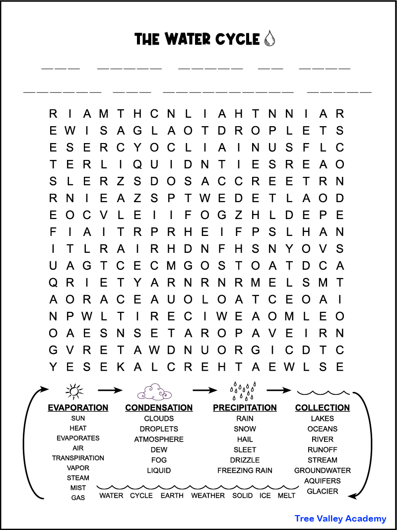 Water cycle word search
