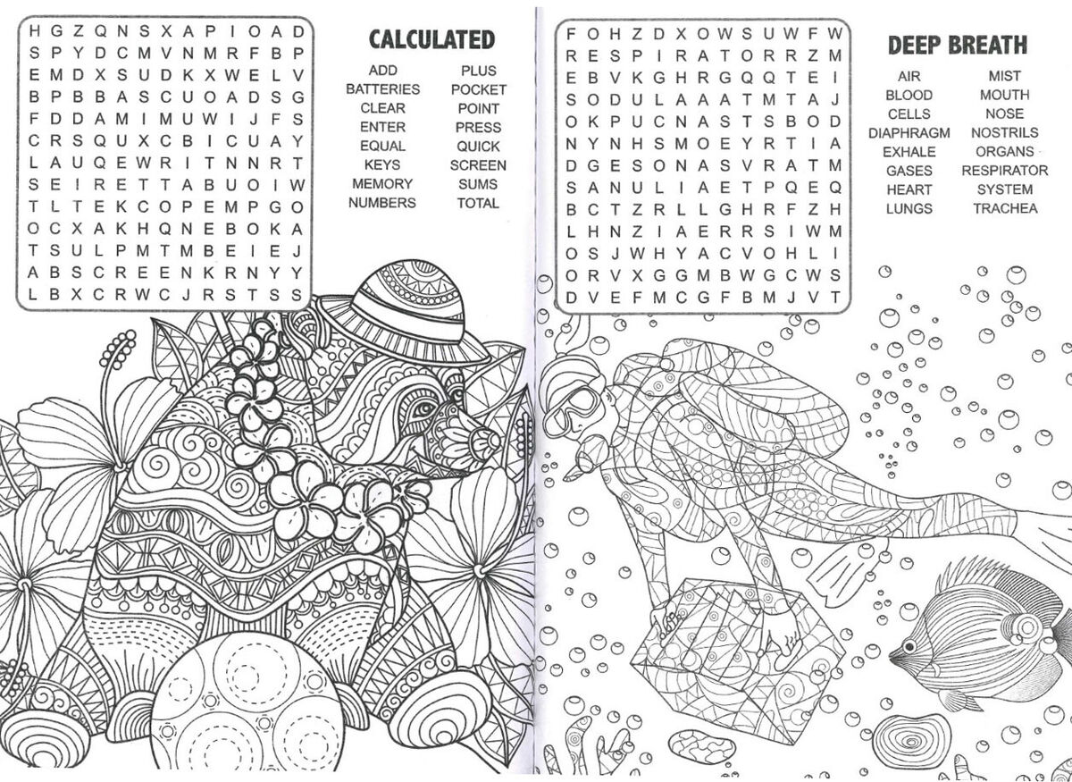 A wordsearch adult louring therapy book word search puzzles per book