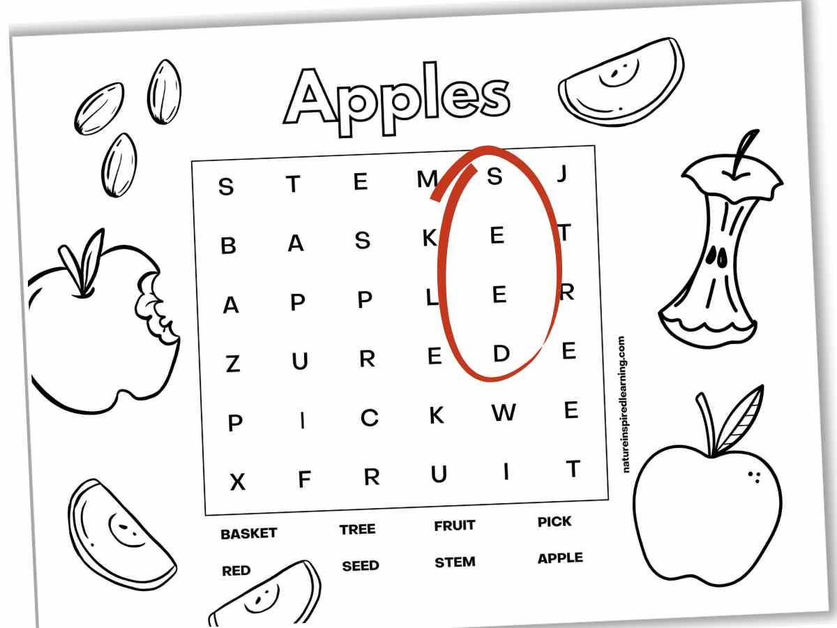 Easy fall word searches