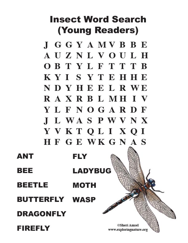 Insect word search primary