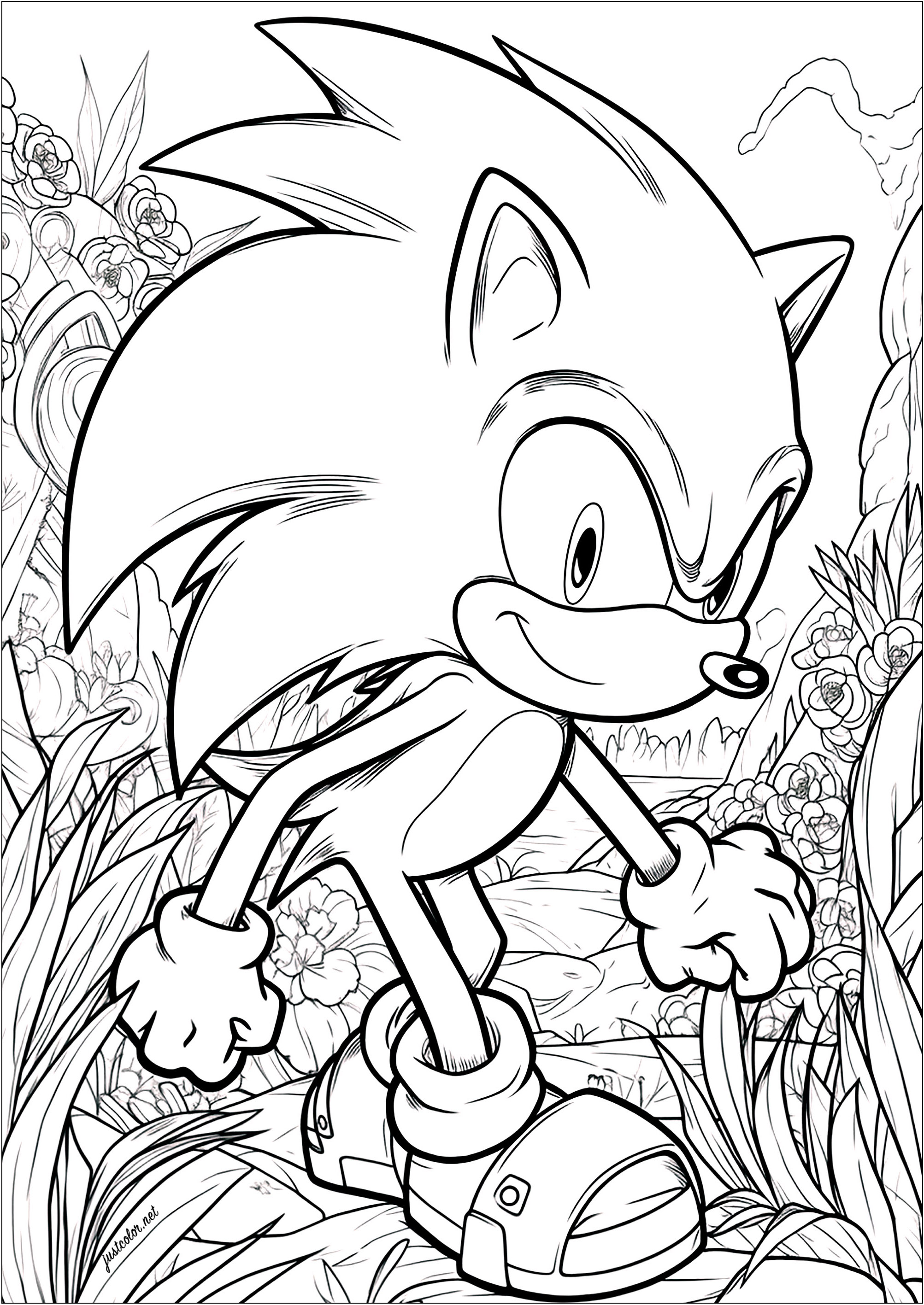 Complex coloring of sonic with floral background