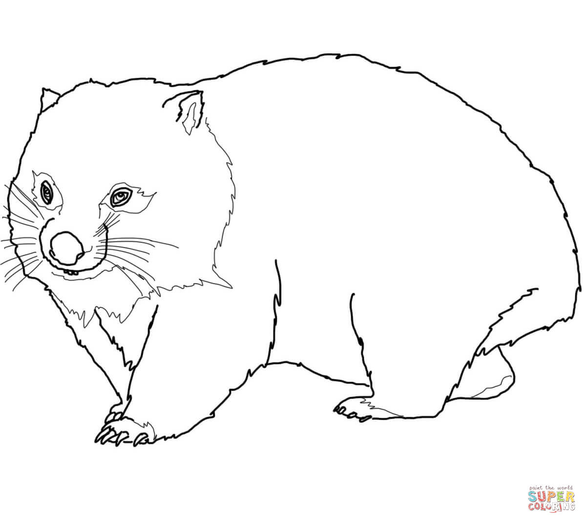 Wombat coloring page free printable coloring pages