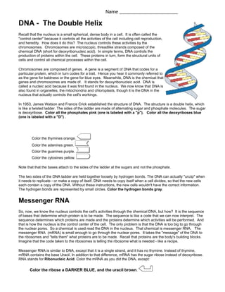 Dna coloring pdf
