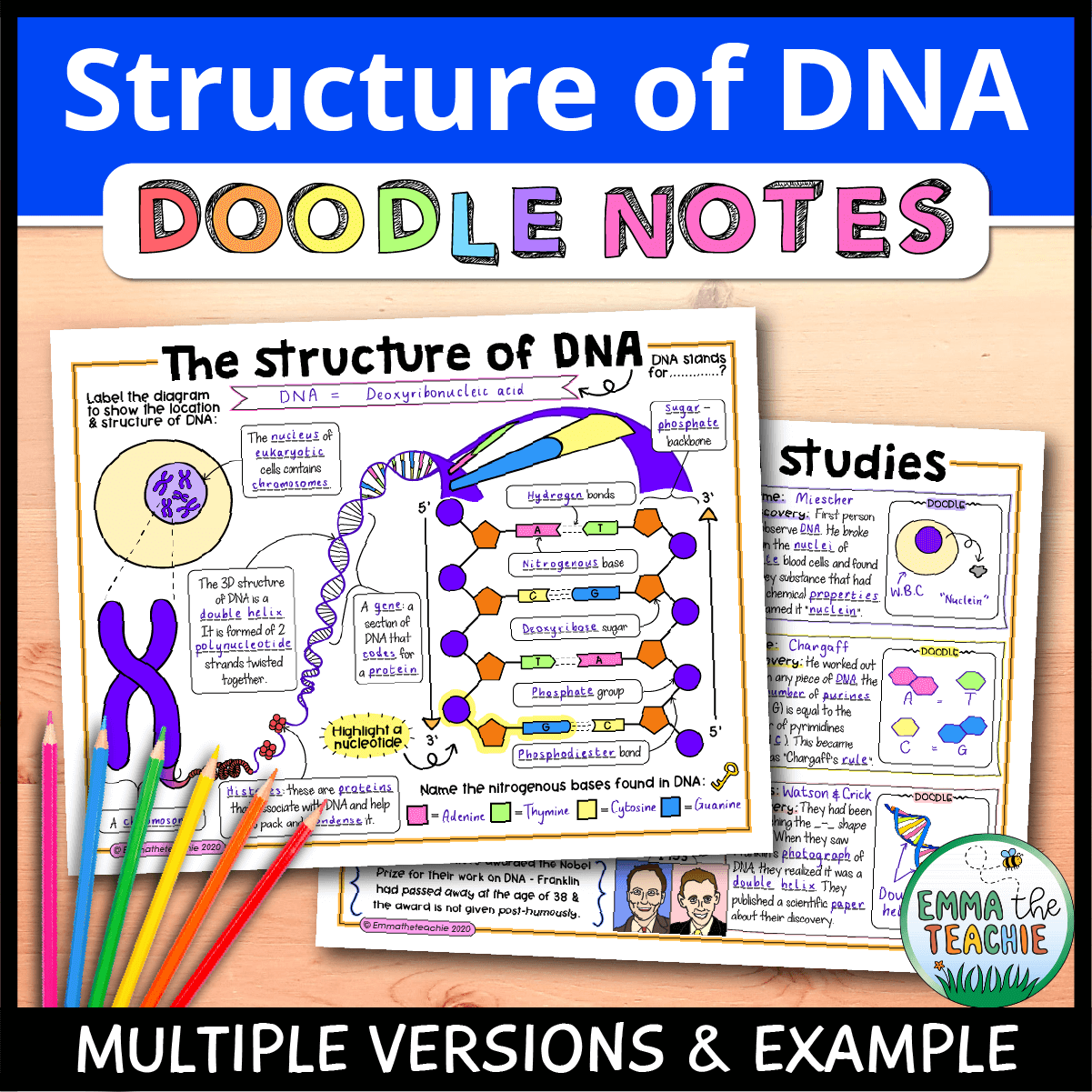 The structure of dna doodle notes
