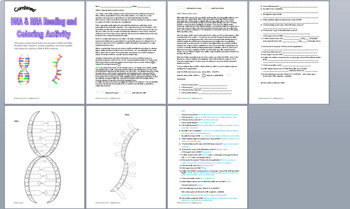 Dna rna reading and coloring activity by biology roots tpt