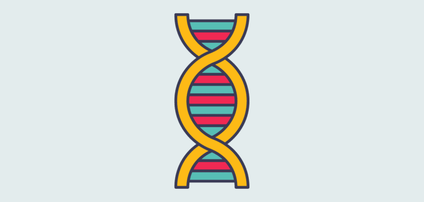 Unravelling the mystery of dna with the best dna replication worksheets