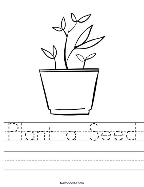 Plant a seed worksheet