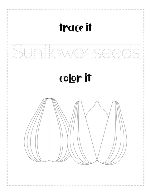 Premium vector handwriting word tracing and color sunflower seeds handwriting practice for kids