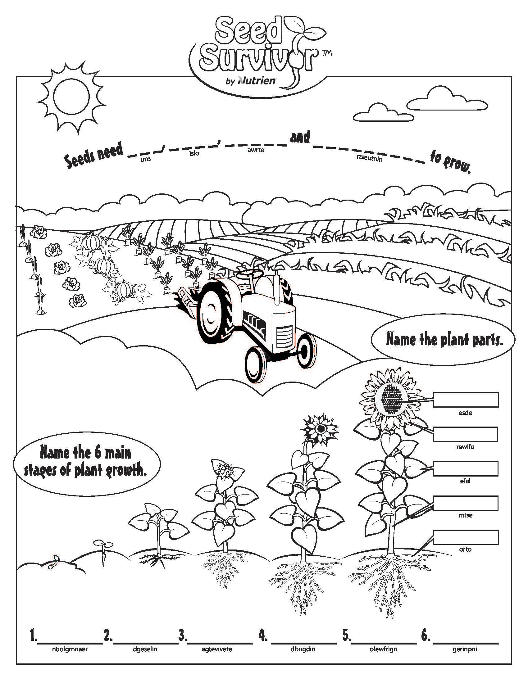 Colouring pages seed survivor