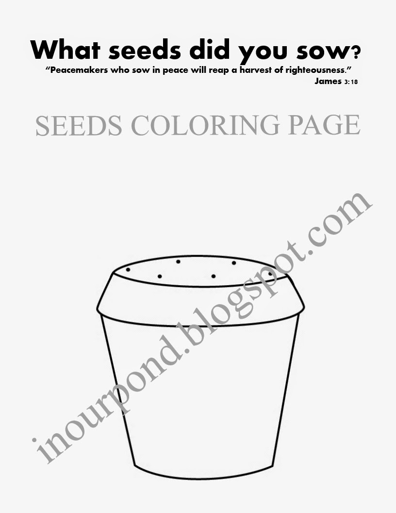 Seeds coloring page free