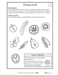 All about seeds worksheet for kindergarten