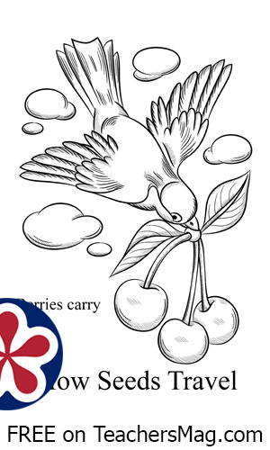 How plants travel coloring page for preschoolers
