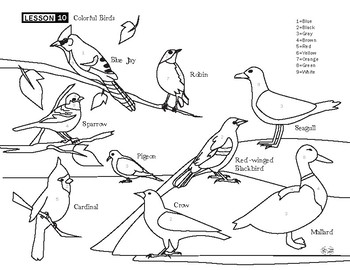 Bird coloring page by our time to learn tpt