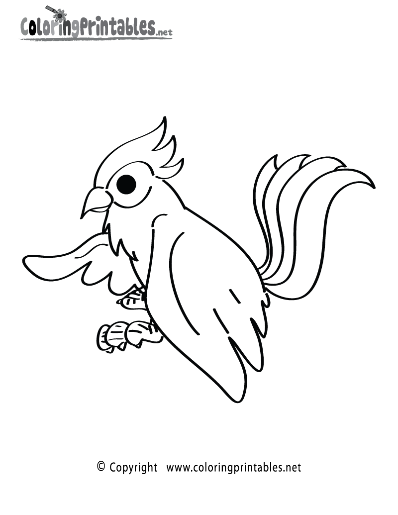 Jungle bird coloring page