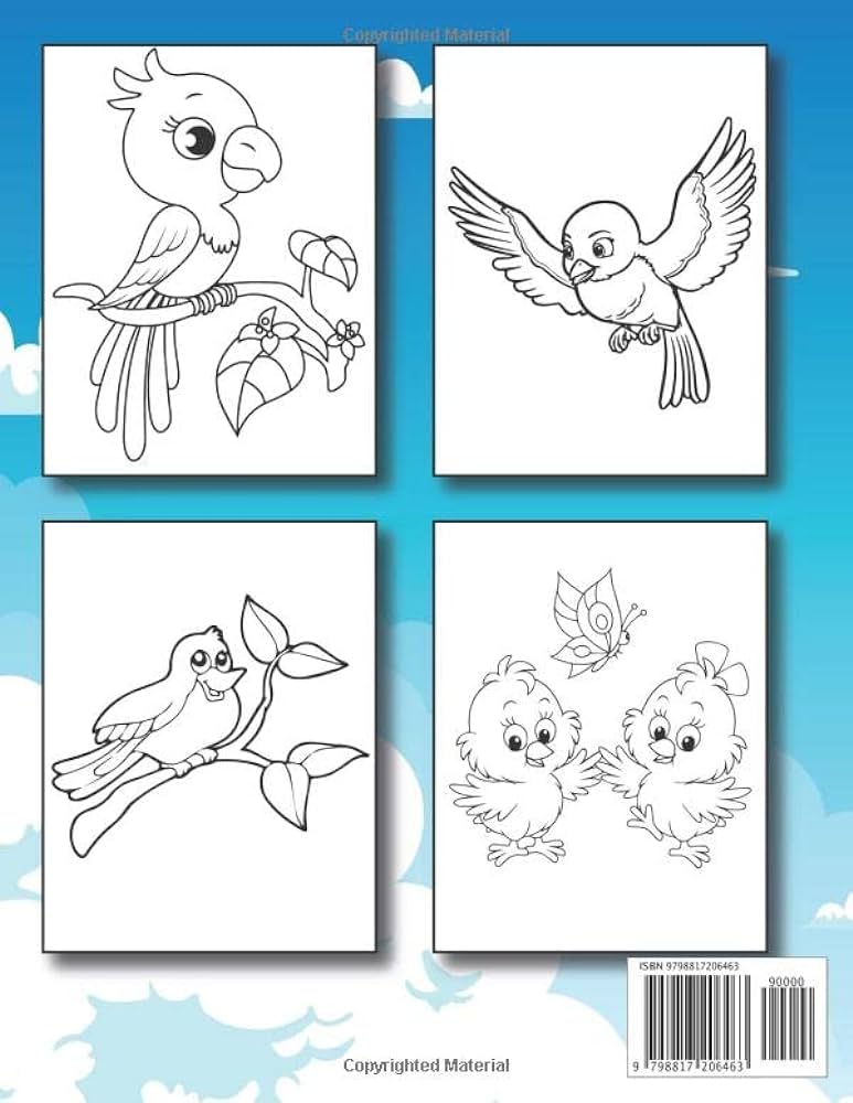 Birds coloring book for kids ages