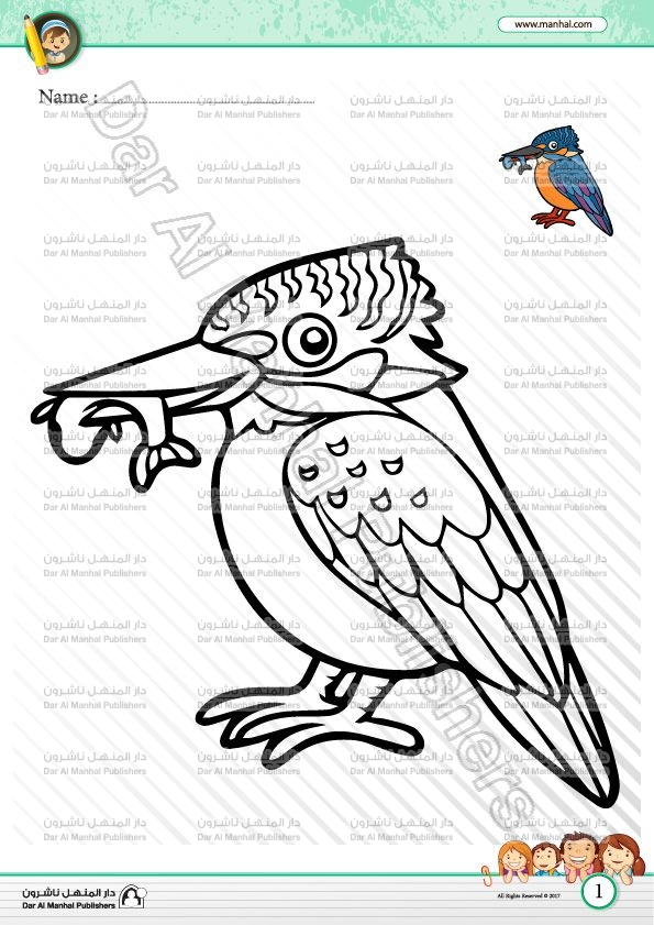 Color the bird coloring worksheets