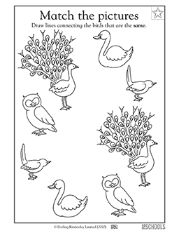 Match the birds preschool reading worksheet