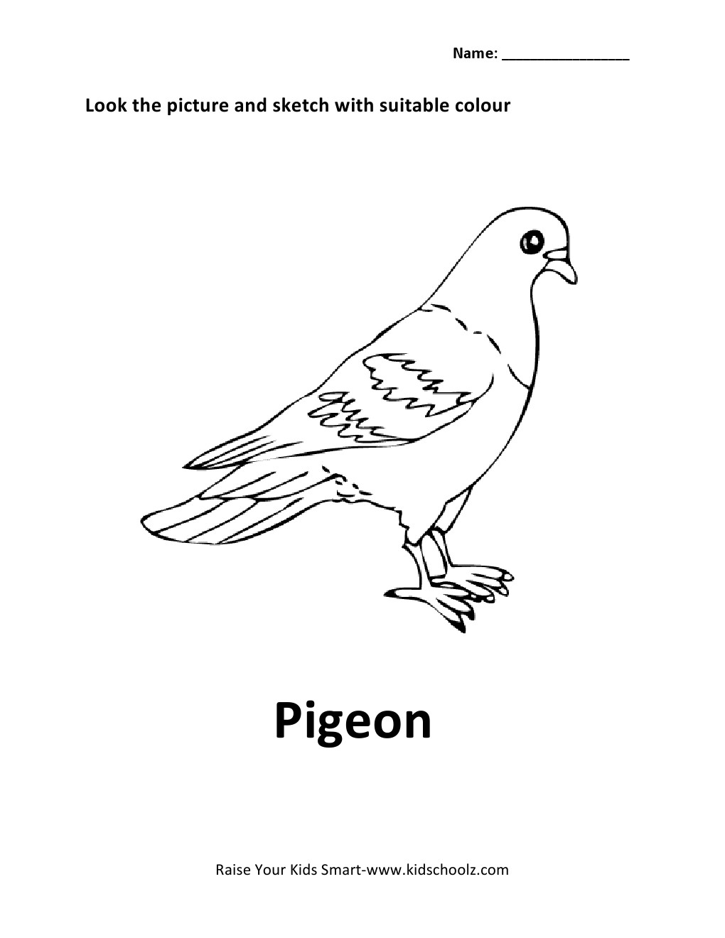 Birds colouring worksheets