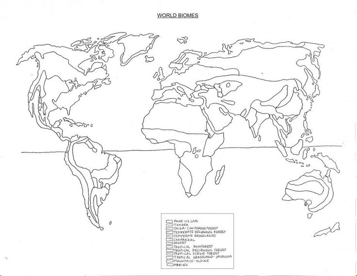 Map of world coloring page for kids printable coloring sheet world map coloring page map activities color worksheets