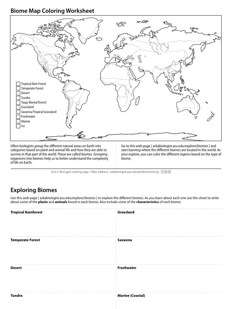 Aab biome activity pdf grassland forts