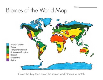 Biome map by hatching curiosity tpt