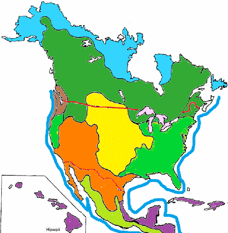 Color the biomes of north america on a mapð