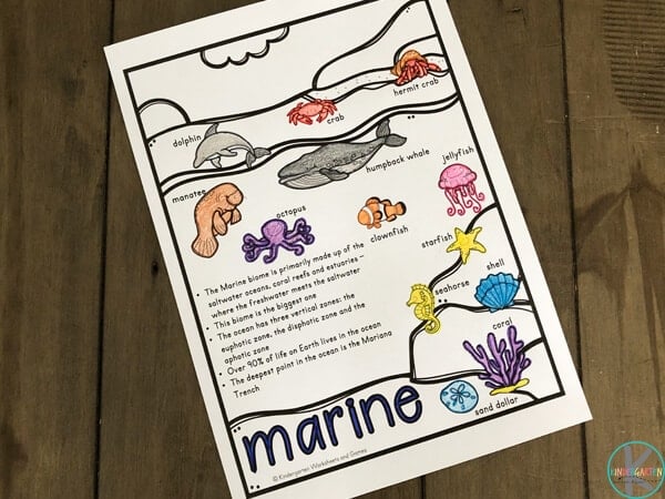 Free biomes coloring pages for kids