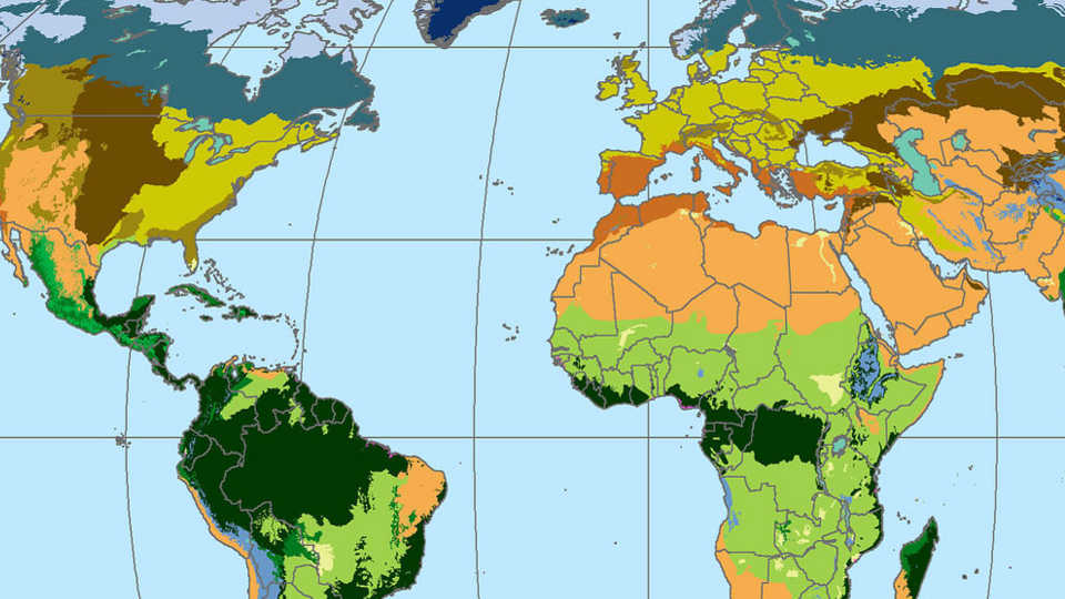 Lesson plan discovering rainforest locations