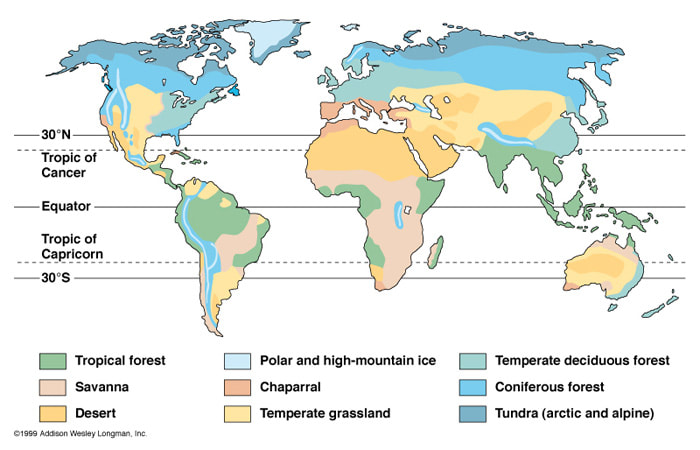 Unit ecosystem biomes