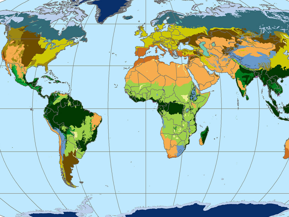 Lesson plan discovering rainforest locations