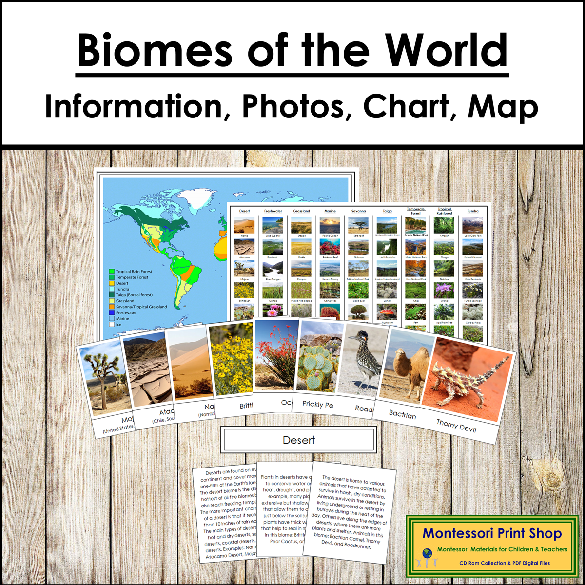 Biomes of the world