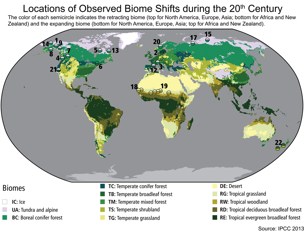 Ess topic biomes zonation and succession