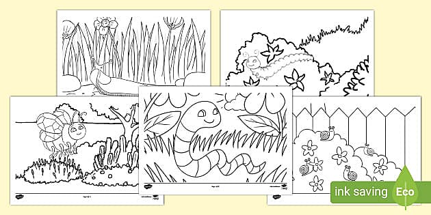Worm and garden frnds colouring pages teacher made