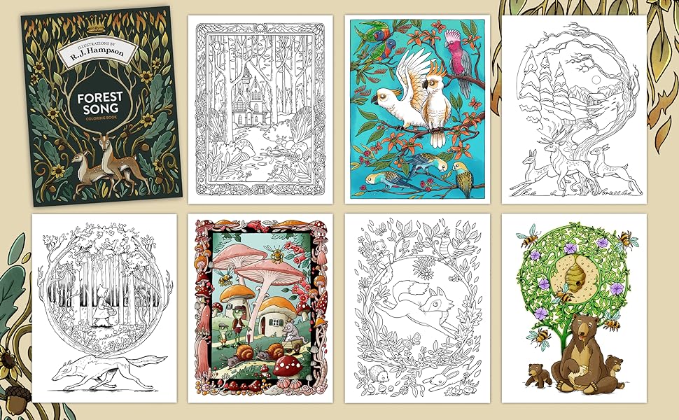 Forest song coloring book rj hampson coloring books hampson rj books