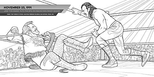 Wwe the official championship coloring book essential gift for fans buzzpop campidelli maurizio books