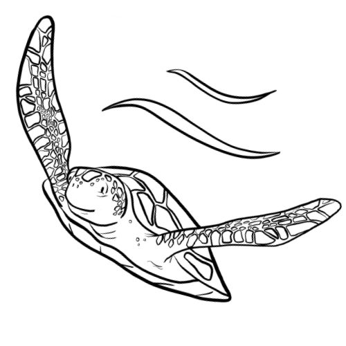 Wwf coloring book pages world wildlife fund