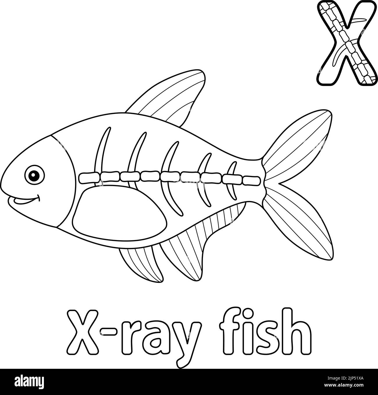 X ray fish hi