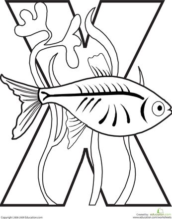Explore the animal alphabet with these delightful coloring pages